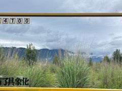 -丽江植物园