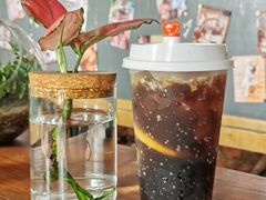 -柴犬高等学院·狗咖·柴犬售卖·宠物训练