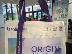 -中国宋庆龄青少年科技文化交流中心