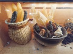 -喜上喜鸡煲翅(吉大店)