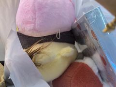 -奇奇乐园电玩城(立丰国际购物广场店)
