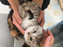 -云上漫足·足疗养生·泡浴SPA