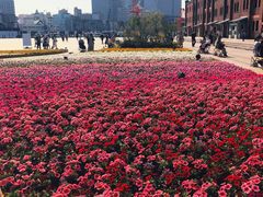 -横滨红砖仓库1号馆