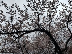 -吉林大学(南岭校区)
