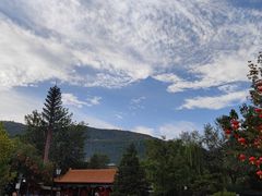 -85度C(北京八角物美店)