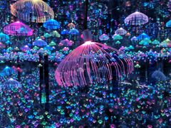 -深圳独角兽星空艺术馆