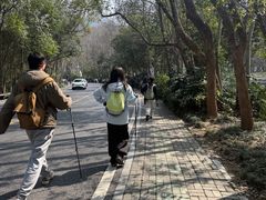 -灵顺寺
