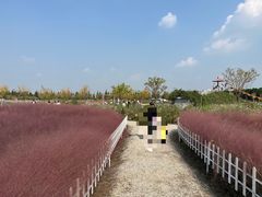 -嘉北郊野公园