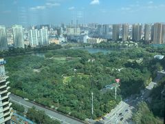 -君悦酒店·乐厨·高空自助餐(青年大街店)