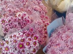 -三圣花乡旅游区