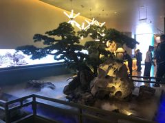 -潮上潮(南中环店)