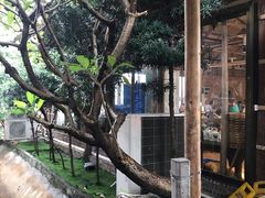 景观位-大笑饭堂(甲子桥店)