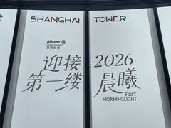 -上海中心大厦