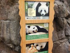 -香港海洋公园