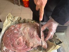 -东山矮马桶羊肉(太湖东山店)