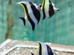 -沈阳海洋探索中心