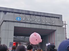 -武汉关码头(轮渡站)