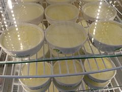 -德禄酸奶(莫家街店)