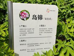-太阳宫公园