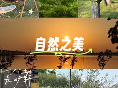 -阳澄湖半岛旅游度假区