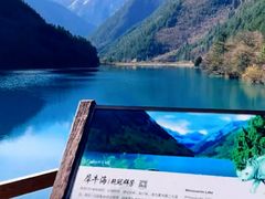 -九寨沟-树正沟