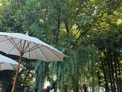 -Fern Forest Cafe