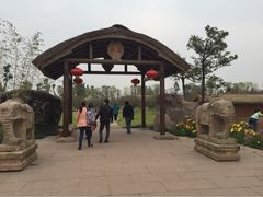 iphone_upload_pic-秀丽东方