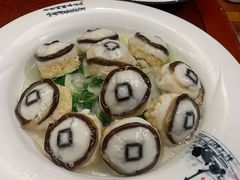 -丁老爷子苏香圆