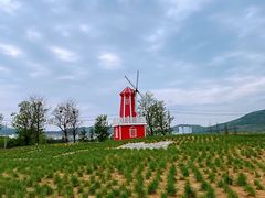 -羊亭河湿地公园