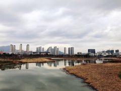 -三垟湿地