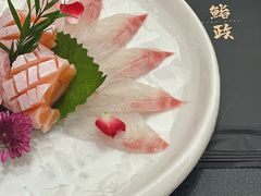 -鮨政· Omakase(港汇恒隆广场店)