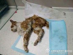 android_upload_pic-盛京一禾