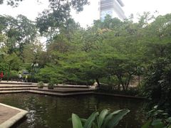 -九龙公园