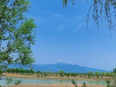 -野鸭湖国家湿地公园