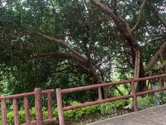 -狐尾山公园