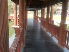 -靖西鹅泉风景区