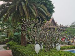 -西双版纳融创皇冠假日度假酒店