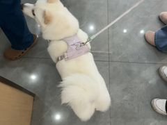 -贝利宠物医院·骨科·眼科·肿瘤转诊中心(南坪诊疗中心)