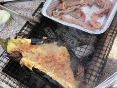 -吴淞炮台湾湿地森林公园烧烤区