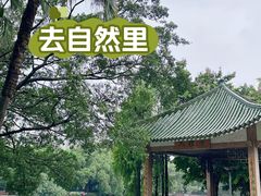 -荔湾湖公园