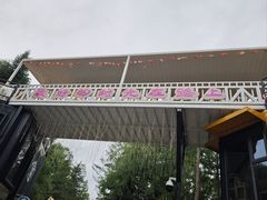 -汤旺河林海奇石景区
