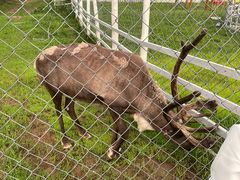 -长白山万达锦华套房酒店