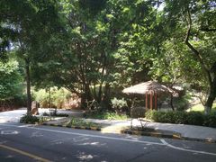 -大雁山风景区