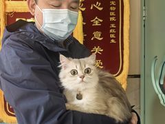 -半岛宠物医院24小时(白果林店)