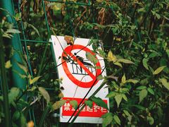 -白鹭湾湿地公园