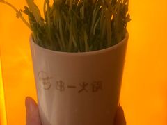 -串一火锅(赛格国际购物中心店)