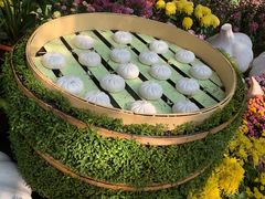 -汇龙潭