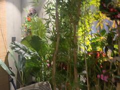 -施奈儿.洗头頭療.按摩SPA.采耳(上梅林店)