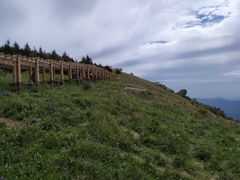 -白草畔自然风景区