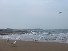 -老虎石海上公园